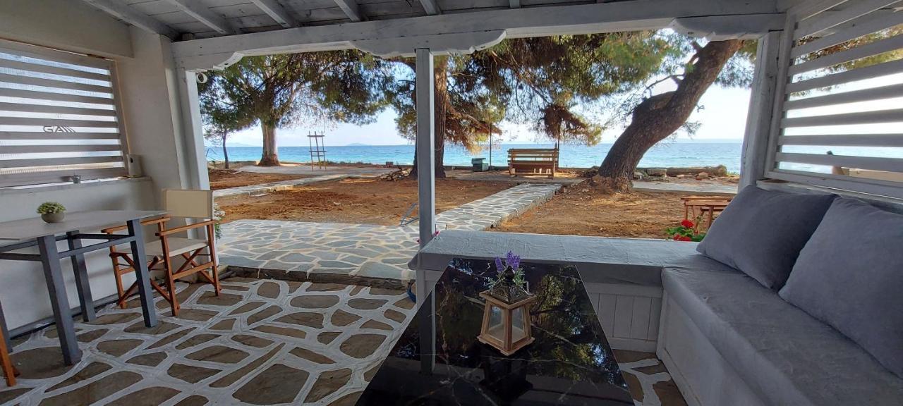 "Pine&Sea" Kastamoniti Beach Nikiti  Luaran gambar